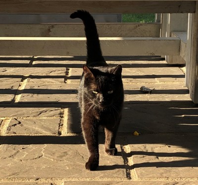 Happy End Geschichten Dali_2