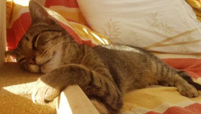 Happy End Geschichten tywin_6