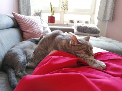 Happy End Geschichten IMG-20200723-WA0004